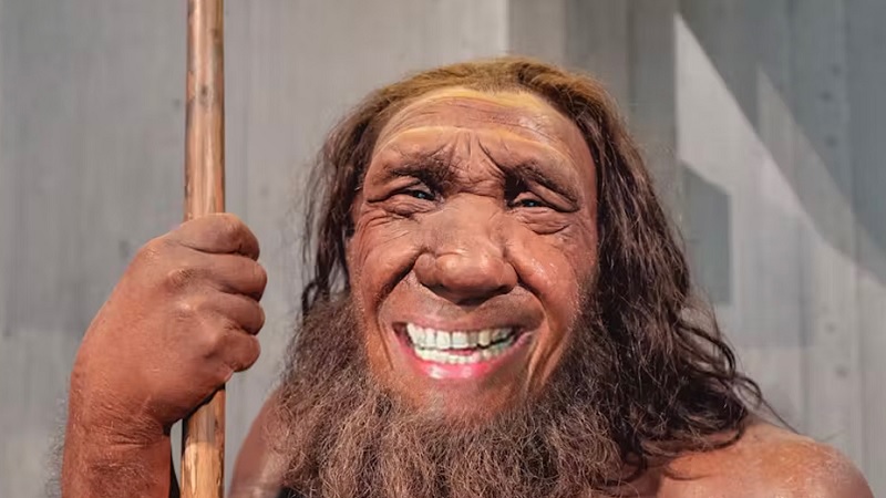 Ilustrasi Neanderthals.