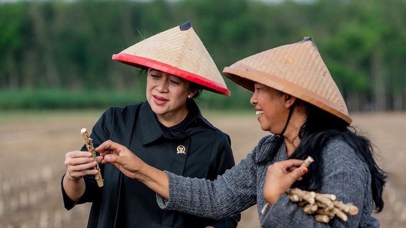 Ketua DPR RI Puan Maharani dorong pemerintah menggunakan bahan pangan lokal dalam rangka menekan angka dabetes pada anak. [Foto: Dok DPR]