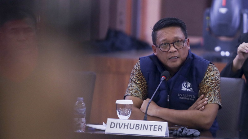 Kepala Divisi Hubungan Internasional Polri, Irjen Pol. Krishna Murti. [Foto: Repro/RMN]