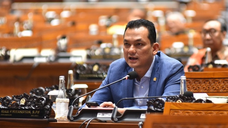 Anggota DPR RI Martin Manurung. [Foto: Repro/RMN]