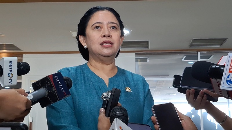 Ketua DPR RI, Puan Maharani. [Foto: Repro/RMN]