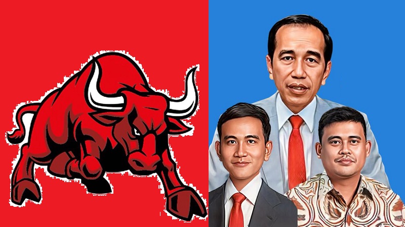 Banteng Seruduk Jokowi, Gibran dan Bobby Keluar Dari PDIP!