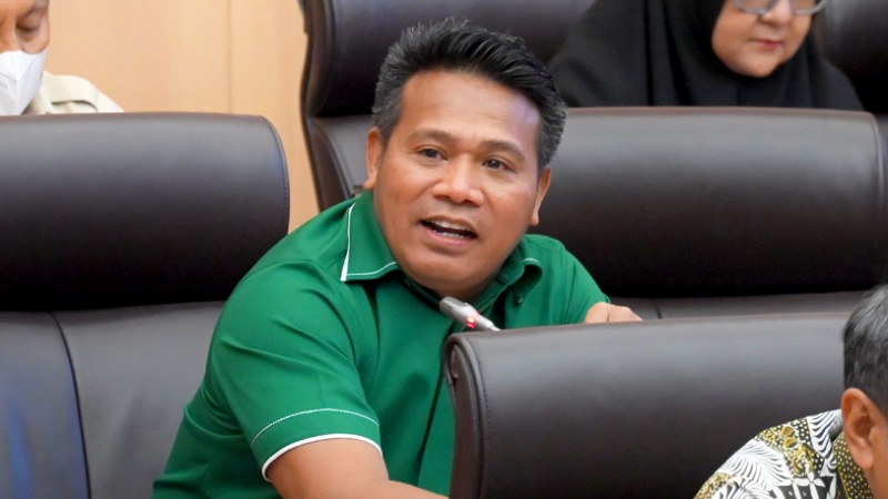 Anggota DPR RI Syafruddin. [Foto: Repro/RMN]