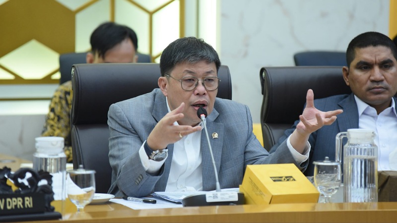 Pulau RI Dijual di Situs Asing! DPR: Mengusik Kedaulatan Negara, Hukum Harus Bergerak!