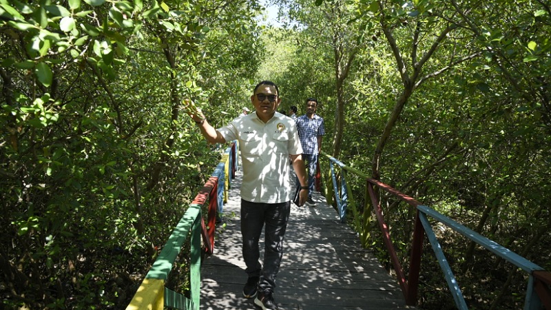 Komisi IV DPR Soroti Kawasan Wisata Mangrove Cirebon: Jalur Tracking Belum Menjangkau Semua Area! Anggota Komisi IV DPR RI, Jaelani - Humas DPR -
