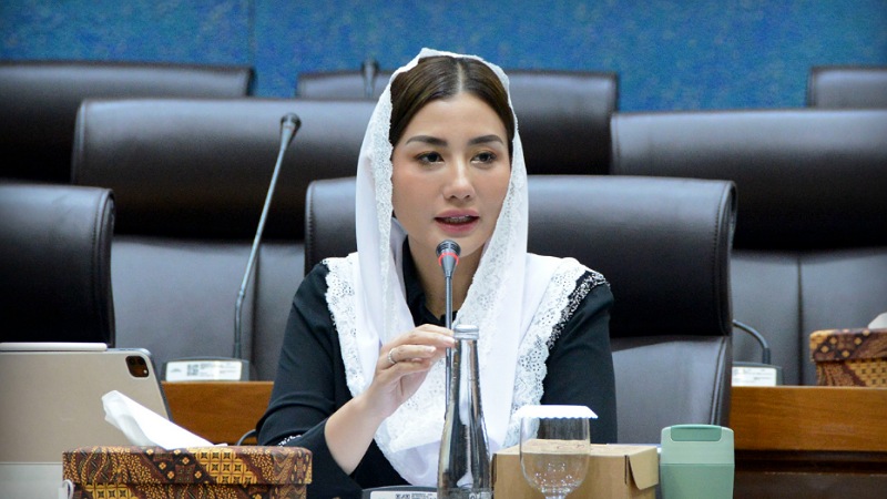 Novita Hardini: Negara Wajib Lindungi Iklim Usaha yang Sehat & Berkelanjutan! Anggota Komisi VII DPR RI Novita Hardini - Humas DPR -
