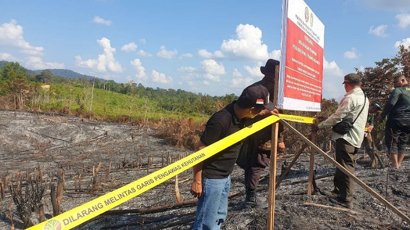 Kemenhut Sikat Pembakar Hutan! 10 Koorporasi Disegel, 8 Pihak Individu Diincer! Kemenhut menyegel lahan terdampak kebakaran hutan yang dilakukan oleh korporasi di Kalimantan Barat. - Foto: Gakkumhut =