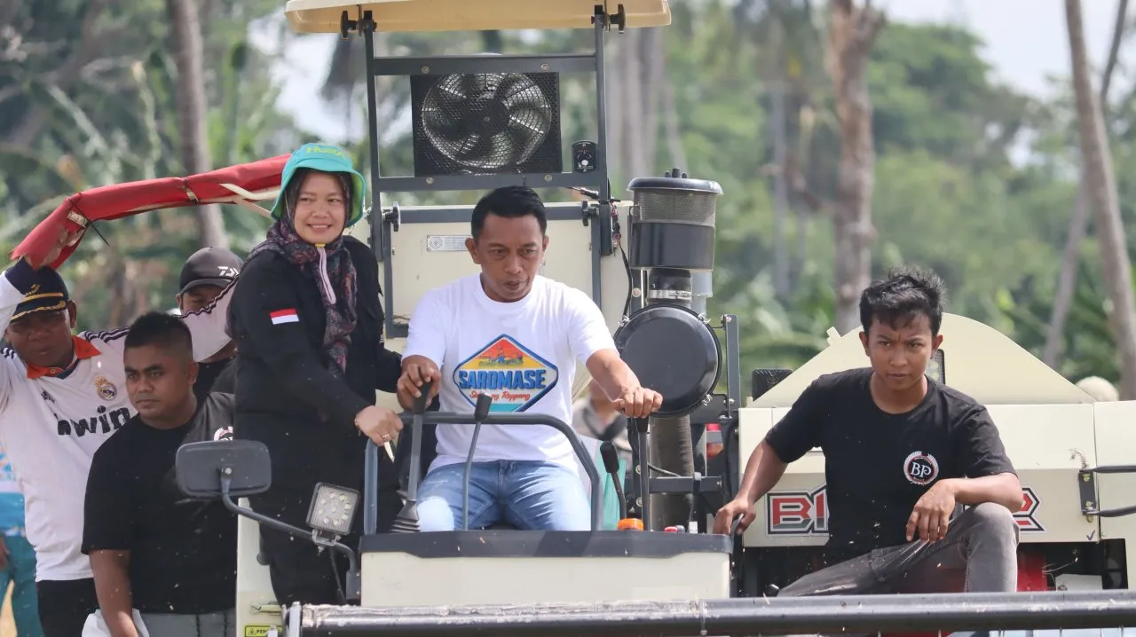 Bupati Sidrap Panen Raya di Panca Lautang: Alhamdulillah Hasil Panen Meningkat