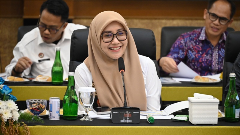 Meity Dorong UMKM Maksimalkan Pendaftaran Hak Cipta, Jangan Tersendat Digitalisasi