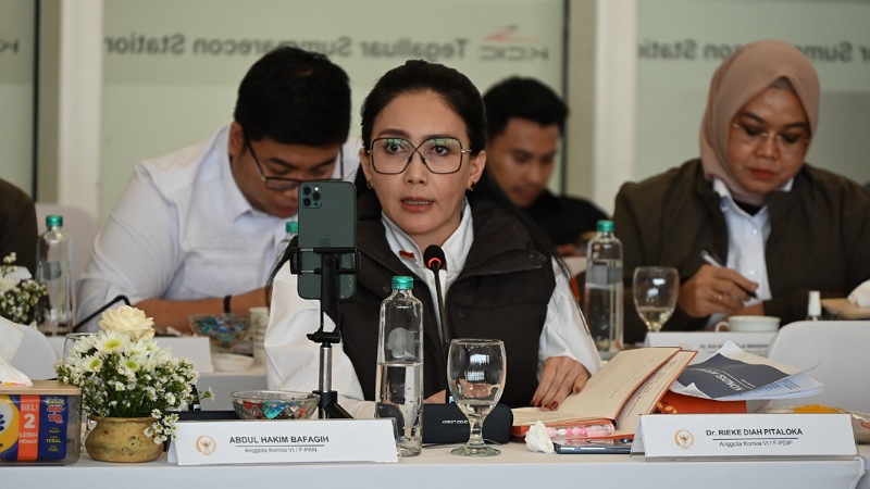 Rieke Warning: Proyek Whoosh Baru Jangan Disatupaketkan KCIC yang Sakit!