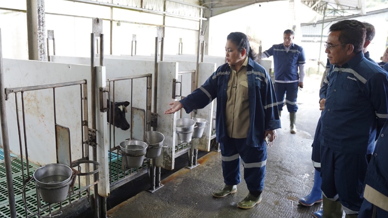 Impor Susu Masih 80 Persen, Titiek Soeharto Wanti-wanti Ancaman Kedaulatan Pangan!