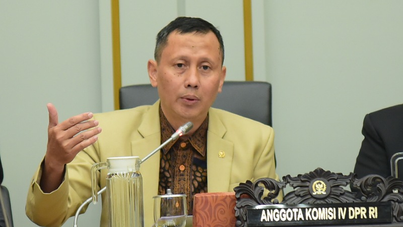 Komisi IV DPR Soroti Rendahnya Penegakan Hukum Kehutanan, Slamet Usul Bentuk Panja Khusus!