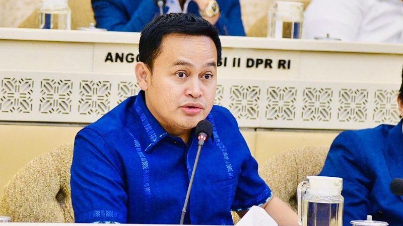 Politisi NasDem Tolak Usulan Koalisi Permanen: 'Bisa Bebekin Demokrasi, Nggak Urgen!'