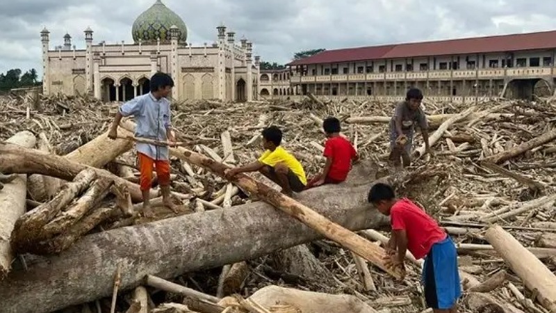 Kayu Gelondongan Pascabanjir Aceh Menggantung, Saan Minta Kepastian Hukum!