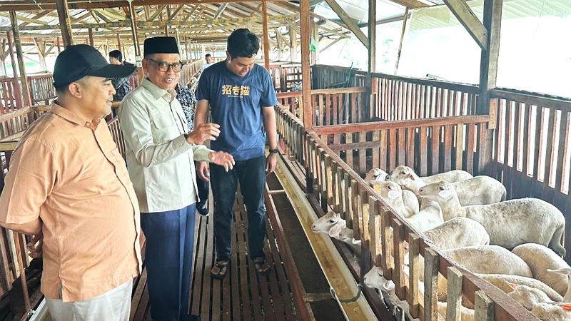 Peternak Muda Tegal Jadi Model Ekonomi Berkelanjutan