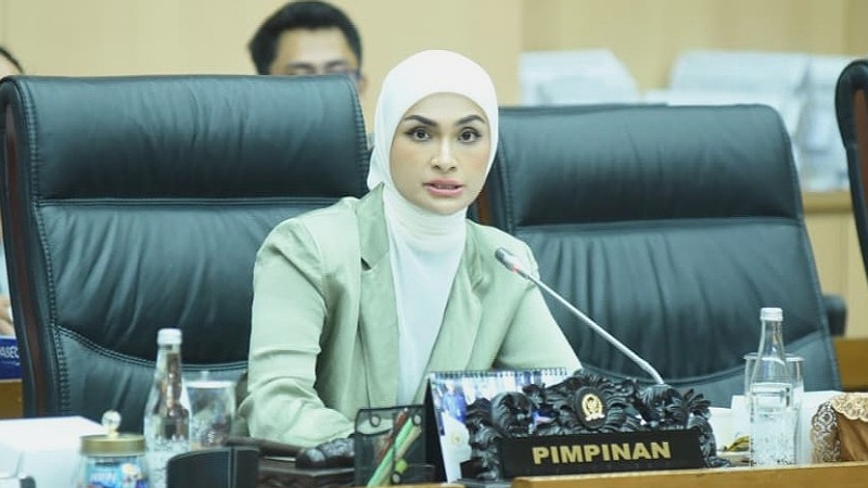 Wakil Ketua Komisi XII, Putri Zulkifli Hasan - Foto: Humas DPR RI -