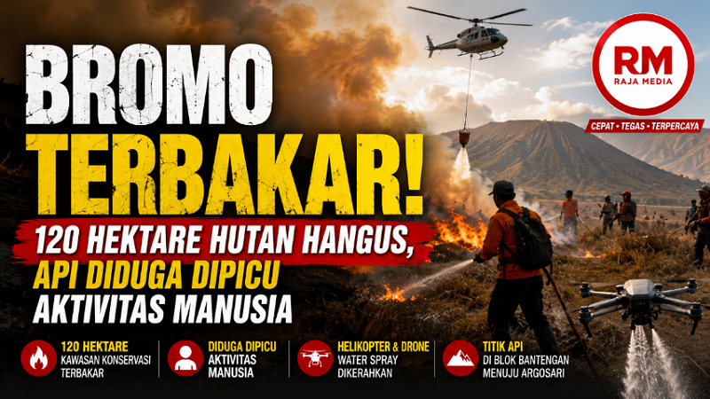 Bromo Terbakar! 120 Hektare Hutan Hangus, Api Diduga Dipicu Aktivitas Manusia