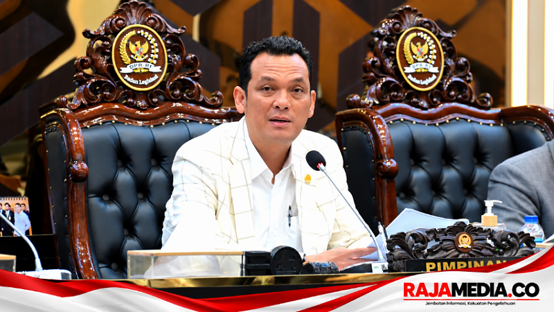 Baleg DPR Bentuk Panja RUU Hak Cipta, Martin Manurung Jadi Ketua