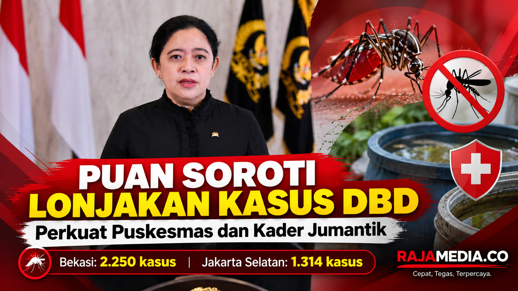 Puan Soroti Lonjakan Kasus DBD, Dorong Penguatan Puskesmas dan Jumantik