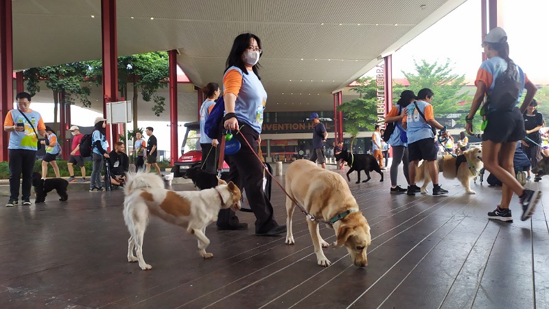 Acara tahunan PAWJOG di area Q-BIQ BSD, Pagedangan, Kabupaten Tangerang pada Minggu (30/7). Foto: Lani