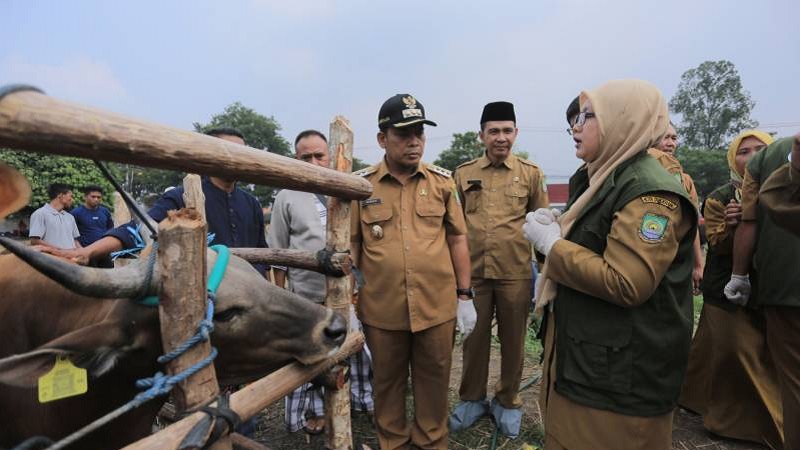 Pj Walikota Tangerang Nurdin bersama Dinas Ketahanan Pangan (DKP) meninjau pelaksanaan skrining hewan kurban. (Foto: Dok Pemkot)