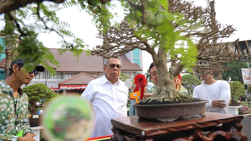 Walikota Tangerang Selatan Benyamin Davnie kagum dengan bonsai di Pameran Bonsai Merdeka 2024. [Foto: Dok Pemkot]