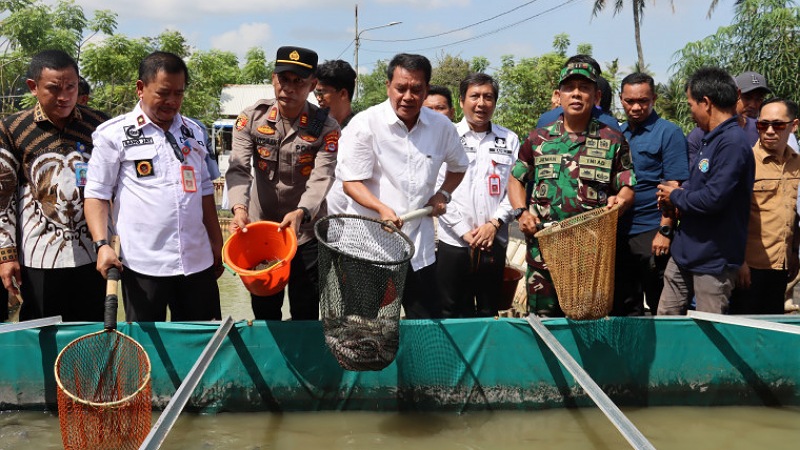 Panen Lele, Desa Gandaria Dicanangkan Jadi Kampung Budidaya Perikanan!