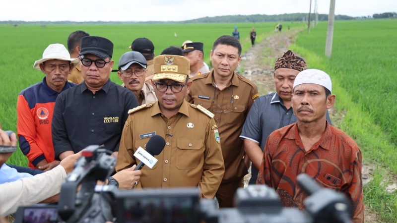 Tinjau Lokasi Program JUT di Lebak, Andra Soni Dorong Konektivitas Sawah! Gubernur Banten Andra Soni meninjau percontohan Program Jalan Usaha Tani (JUT) di Kecamatan Wanasalam, Kabupaten Lebak, Senin (26/5/2025). - Biro Adpimpro Banten -