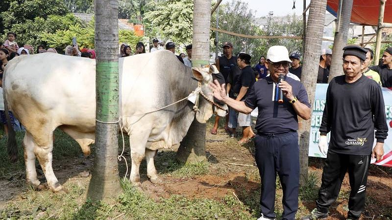 Sachrudin Tinjau Kurban: Pastikan Sesuai Syariat, Higienis, dan Tepat Sasaran Wali Kota Tangerang Sachrudin tinjau pemotongan hewan kurban. Pastikan sesuai syariat, higienis dan tepat sasaran. - Foto: Dok Pemkot Tangerang -