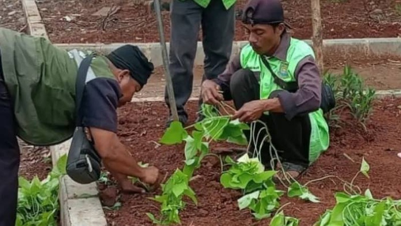 Eks Relokasi Pasar Anyar Disulap Jadi Taman Hijau, Kota Tangerang Makin Kinclong!
