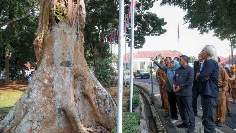Andra Soni Gandeng IPB, Selamatkan Pohon Tua di Banten Gubernur Banten Andra Soni bersama para ahli dari Fakultas Kehutanan dan Lingkungan Institut Pertanian Bogor (IPB), mulai menggerakkan pemeriksaan dan konservasi pohon-pohon tua. - Biro Adpimpro Banten -