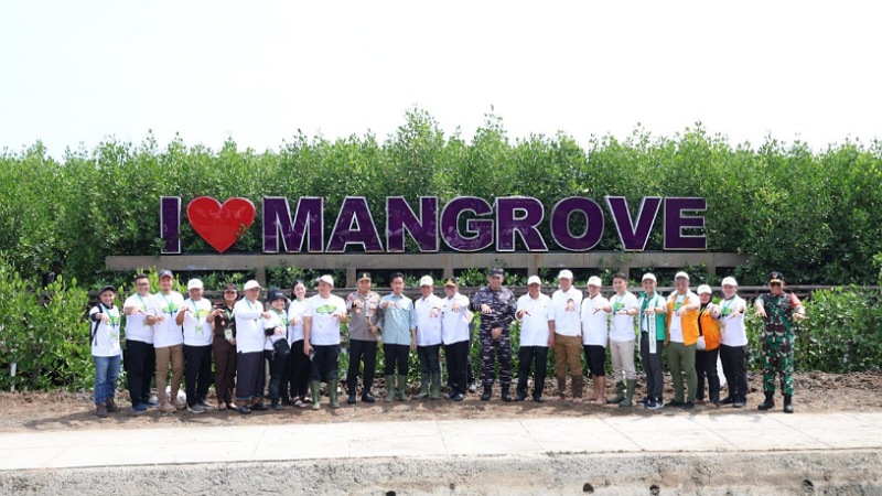 Pemerintah Siapkan Rp2 Triliun untuk Selamatkan Mangrove Indonesia