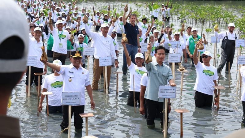 Tanam Mangrove di Pesisir Banten, Wapres Ajak Generasi Muda Selamatkan Lingkungan