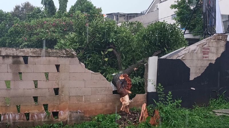 Tembok Pembatas Hancur! Hujan Angin Robohkan Pohon di Sekolah Auladi Ciater
