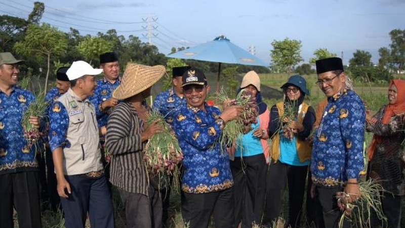 Gokil! Lahan Sempit di Kota Tangerang Hasilkan 1,5 Ton Bawang Merah & 5 Ton Melon