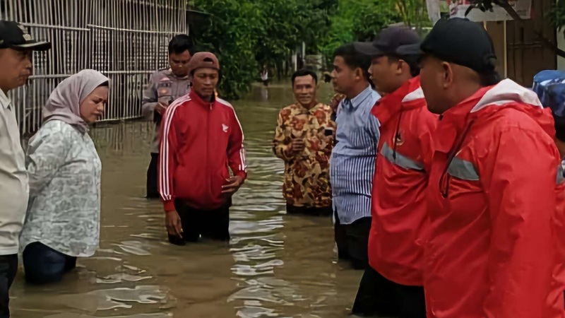 804 Hektare Sawah Tergenang Banjir, Ketahanan Pangan Tangerang Terancam!