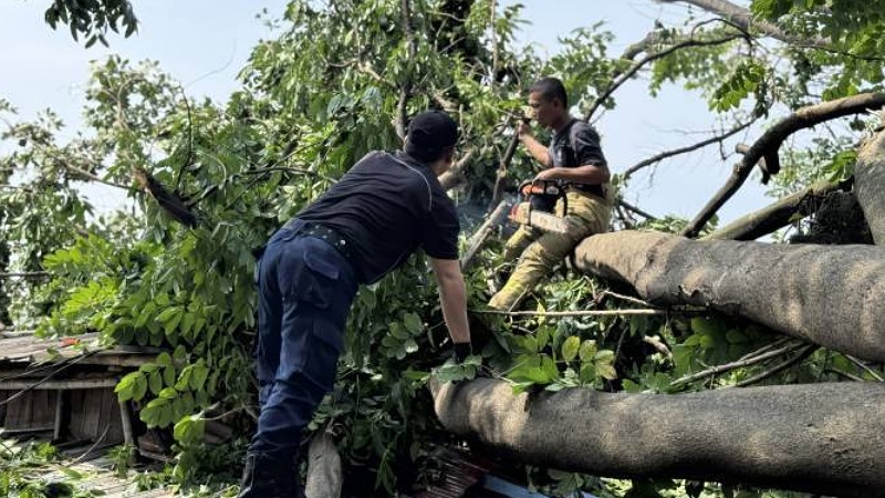Tak Perlu KTP Tangerang, Korban Pohon Tumbang Bisa Dapat Santunan Rp50 Juta