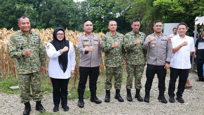 Wabup Kota Tangerang Intan Nurul Hikmah bersama TNI dan Polri saat panen jagung di Cisauk - Foto: Dok. Pemkot Tangerang -