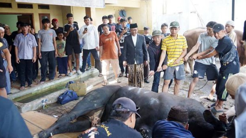 Wali Kota Tangerang Sachrudin menyaksikan langsung penyembelihan sapi kurban bantuan Presiden Prabowo Subianto - Foto: Dok. Prokopim Kota Tangerang -