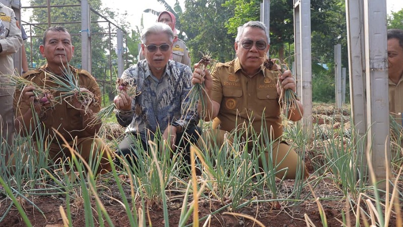 Teknologi Pupuk Singapura Bikin Bawang Merah Tumbuh Subur di Tangsel