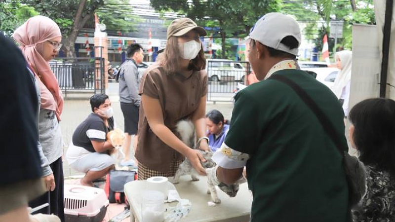Pemeriksaan hewan sebelum di vaksin rabies - Foto: Dok Diskominfo Tangerang -