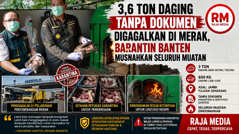 3,6 Ton Daging Celeng Tanpa Dokumen Digagalkan di Merak, Barantin Banten Musnahkan Seluruh Muatan