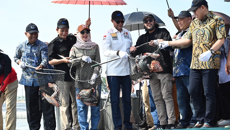 Kunker Komisi VI DPR meninjau Modeling Budidaya Ikan Nila Salin, Karawang, Jawa Barat, Jumat (21/6). (Foto: Dok DPR)