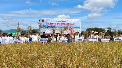 Tim Kunres Komisi IV DPR RI saat meninjau langsung penerapan metode Sawah Bapokok Murah dalam kunjungan kerja Komisi IV DPR RI ke Kabupaten Agam, Sabtu (21/6/2025). - Foto: Humas DPR -