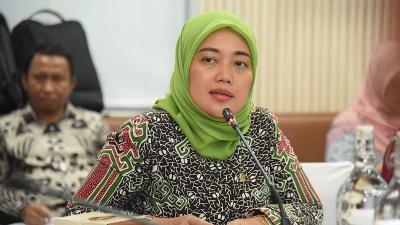 Wakil Ketua Komisi VII DPR RI Chusnunia Chalim - Foto: Dok Fraksi PKB -