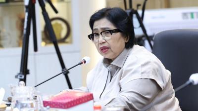 Anggota Komisi IX DPR RI, Irma Suryani Chaniago - Humas DPR -