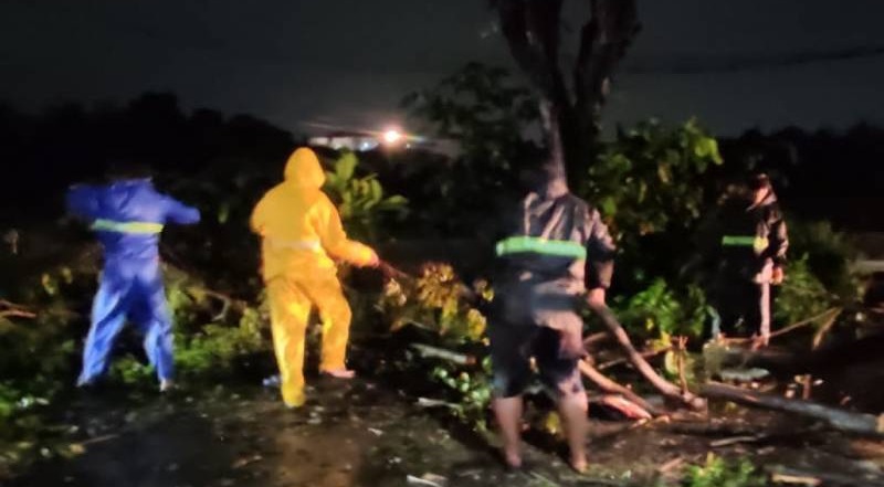 Penanganan pohon tumbang akibat hujan deran disertai angin kencang yang melanda kota Tangerang/Repro