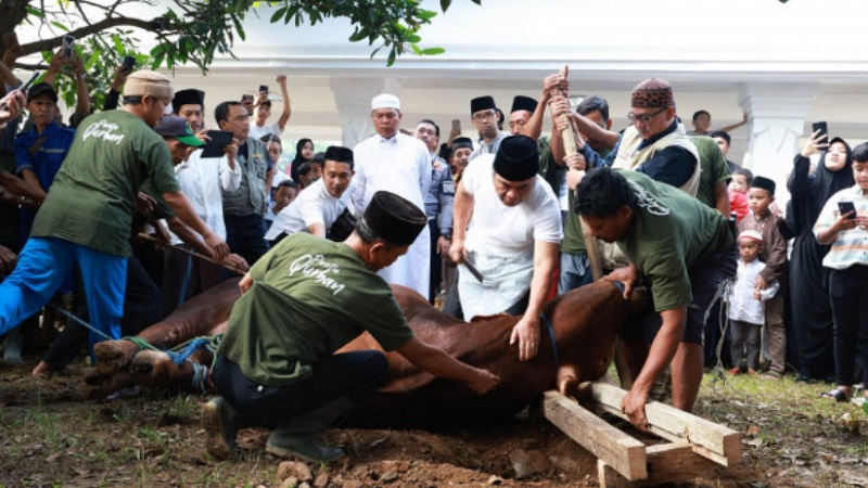 Al Muktabar memotong hewan kurban bantuan Presiden Joko Widodo.(Foto:DokPemprov)