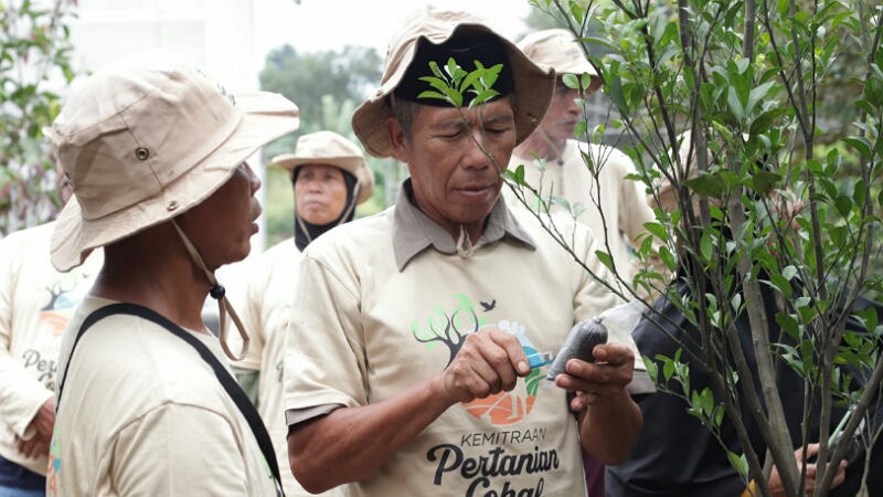 Sinar Mas Land menggelar Program Kemitraan Pertanian Lokal ini memberikan bekal keilmuan dan keterampilan bagi para petani. Foto: IST