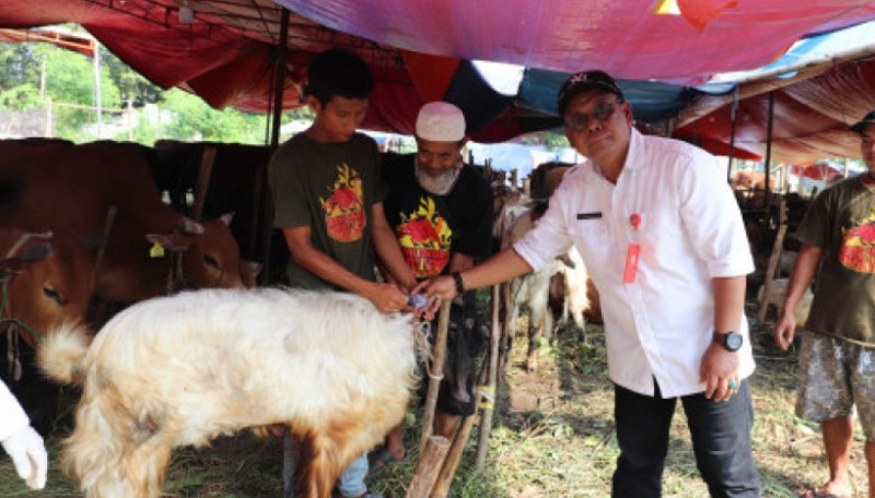 Pemkab Tangerang menyiapkan layanan pemeriksaan hewan kurban secara gratism untuk memastikan kesehatan hewan. (Foto: Dok Pemkab)